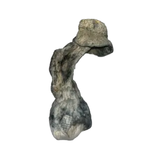 Albino Penis Envy