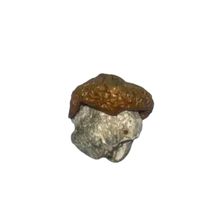 Dino Eggs